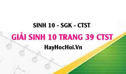 Giải Sinh 10 trang 39 Chân trời sáng tạo SGK